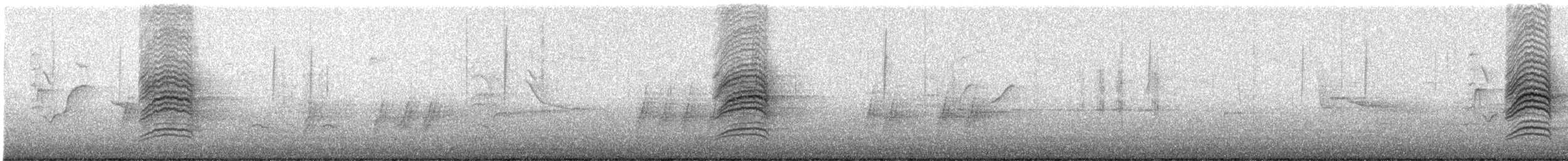 Дрізд-короткодзьоб плямистоволий - ML616240024