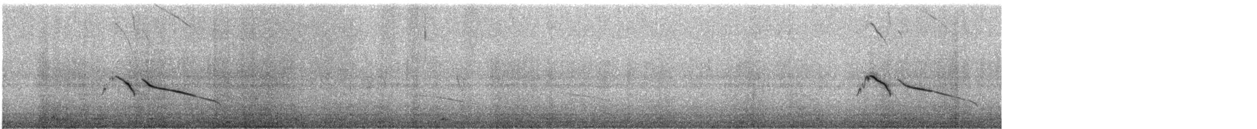 Alouette à long bec (brevirostris) - ML616248731