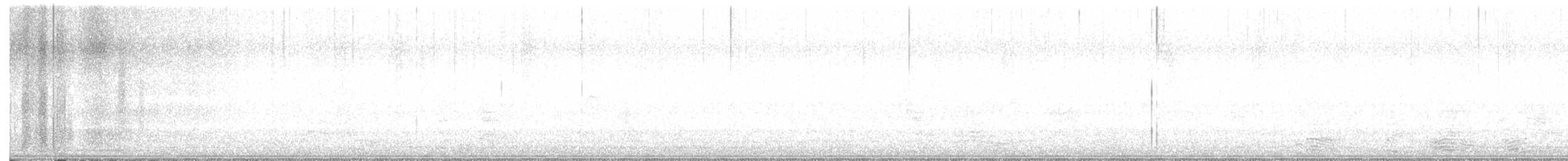 American Barn Owl - ML616251402