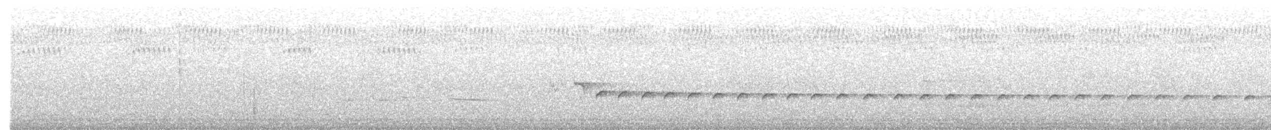 Королаз плямистобокий - ML616252028