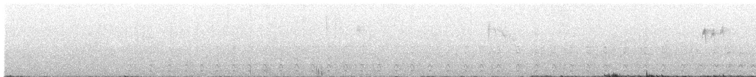 hvitbrynsvartspett - ML616253214