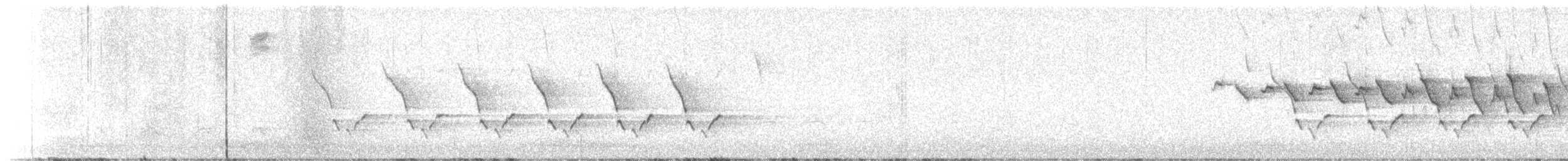 Yellow-throated Warbler - ML616255604