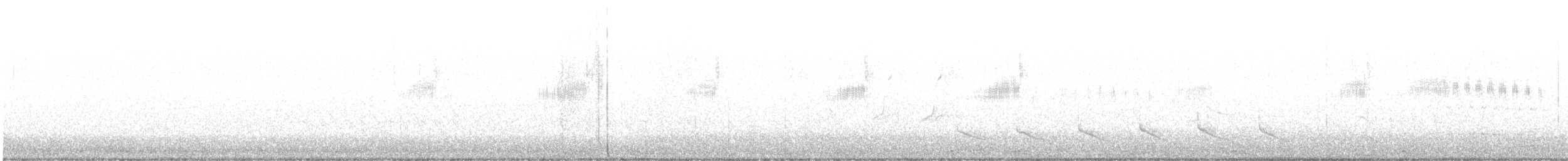 kalypta černobradá - ML616256950