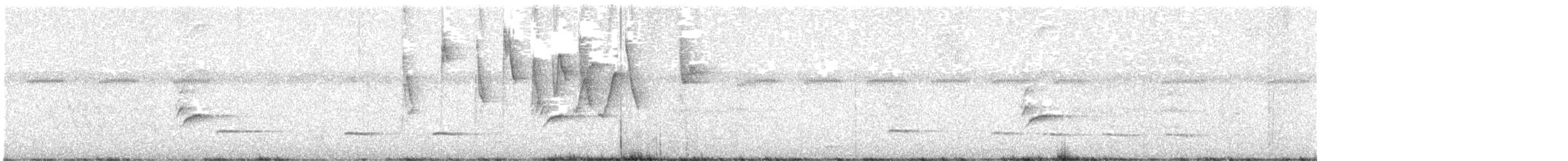 Graubrust-Ameisendrossel - ML616258936