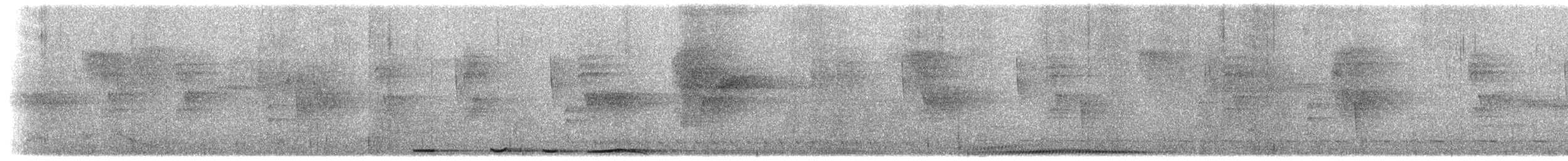 holub krátkozobý - ML616259006