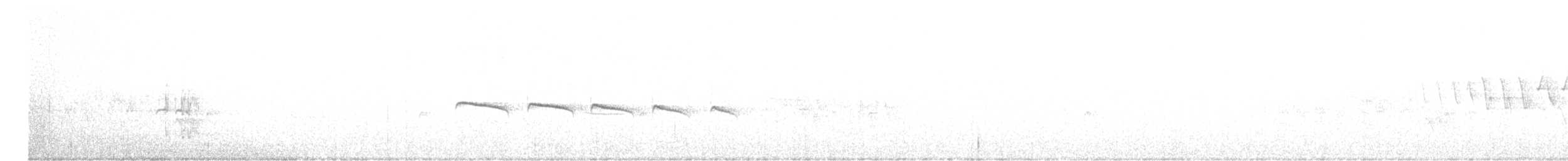 Тиранчик-тонкодзьоб північний - ML616259230