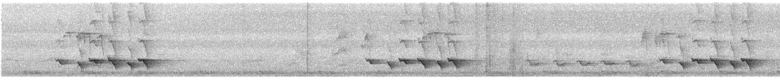 Allotrie siamoise (groupe aeralatus) - ML616262918