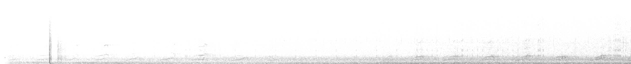 Wood Duck - ML616263764