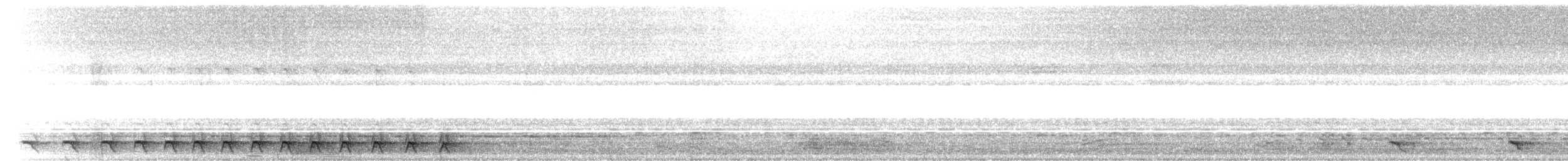 Baird's Trogon - ML616264676