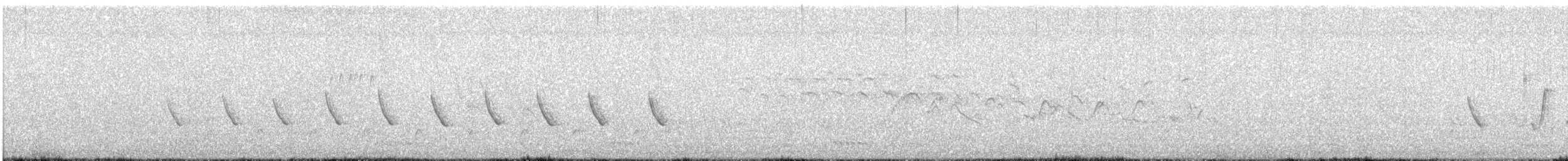 オナガサイホウチョウ - ML616265287