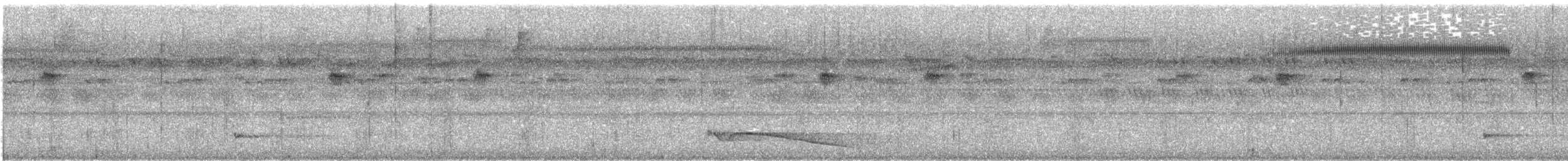 Great Eared-Nightjar - ML616272702