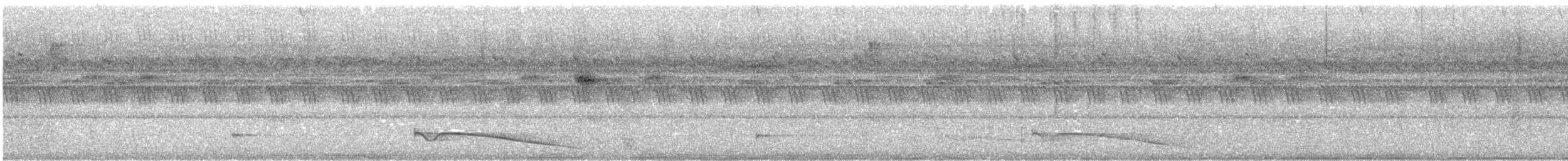 Great Eared-Nightjar - ML616272703