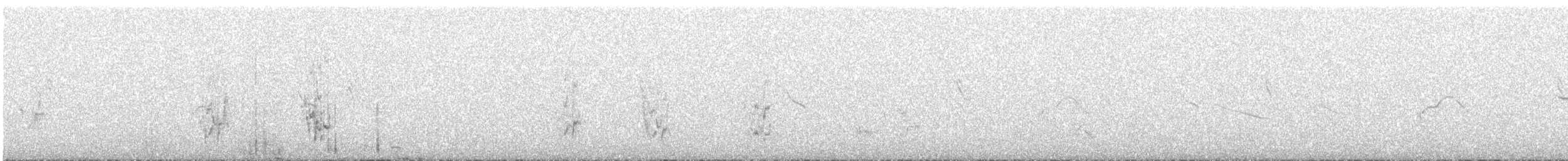 Puna Dağyıldızı - ML616273125