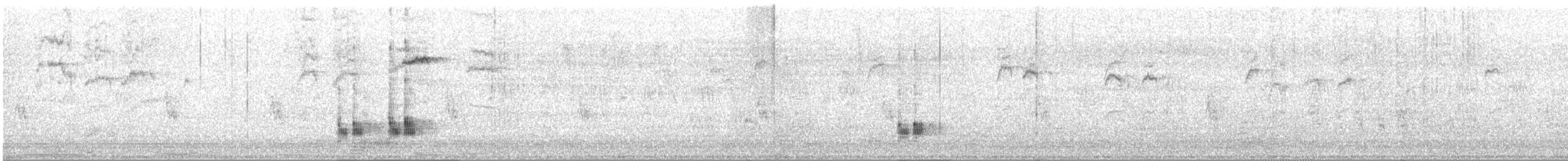 Chalk-browed Mockingbird - ML616273888