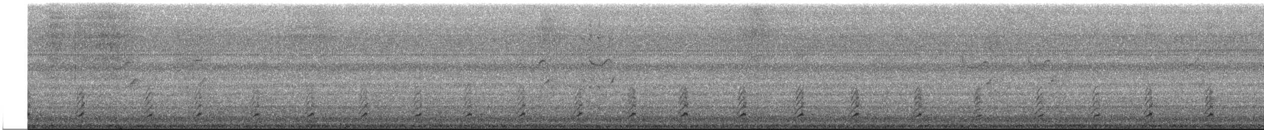 Чирянка жовтодзьоба (підвид flavirostris) - ML616274155