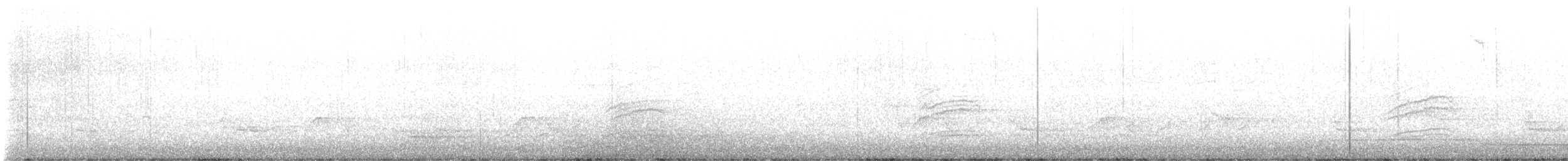 Дрізд-короткодзьоб плямистоволий - ML616274944