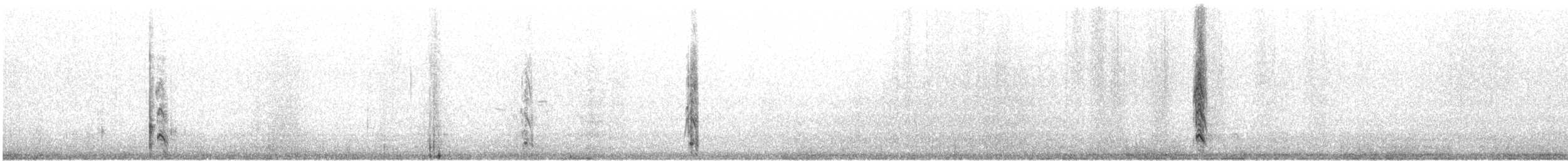 クロトウゾクカモメ - ML616276967