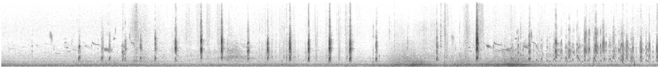 שחיינית צרת-מקור - ML616277029