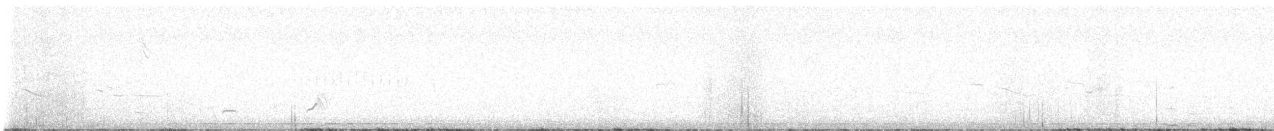 nordkrattvaktel (virginianus gr.) - ML616278016