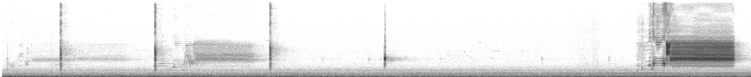 Red-winged Blackbird - ML616278507