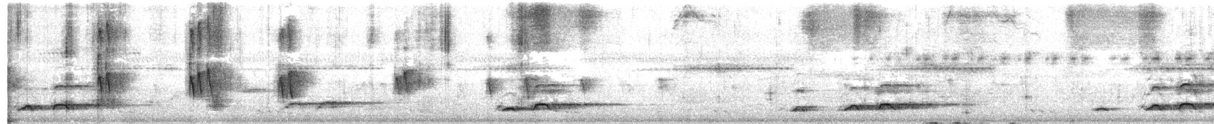 Brown Hornbill - ML616279077