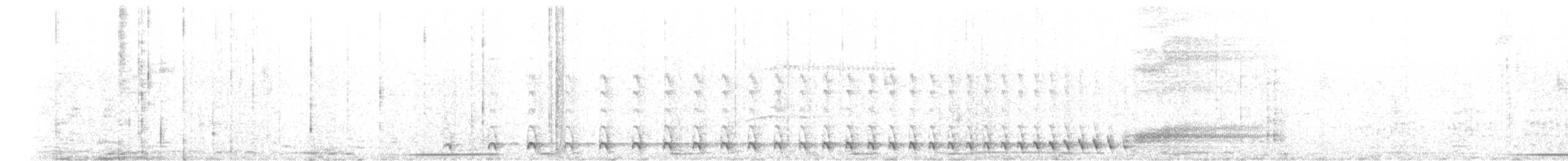 Weißbrust-Ameisenwürger - ML616279247