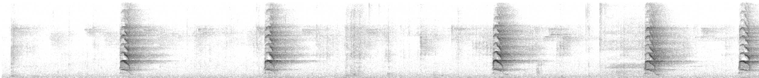 Белобрюхая желна - ML616279584