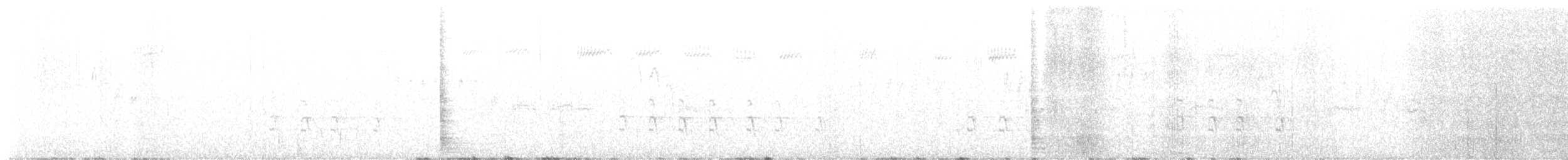Piquituerto de Cassia - ML616280496