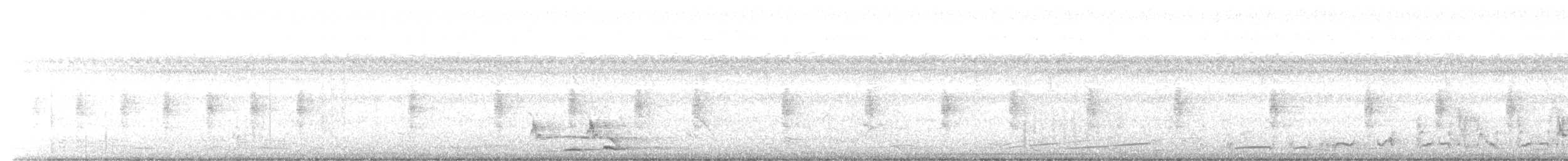 灰胸秧雞 - ML616280937