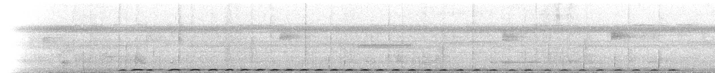 holub žlutozobý (ssp. prasinorrhous) - ML616281249