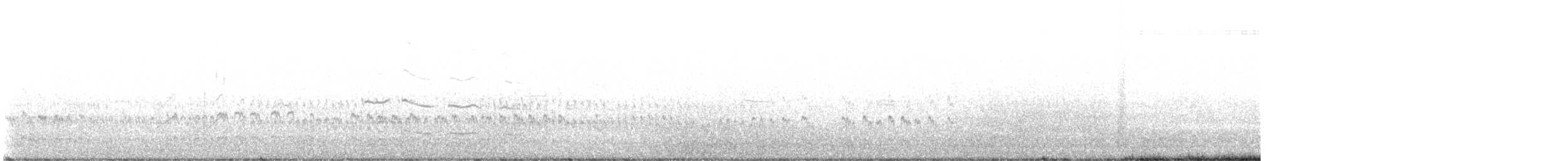 Vuelvepiedras Oscuro - ML616282680