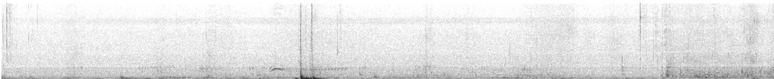 svartnakkemaurvarsler - ML616282775