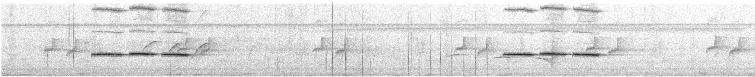 Spot-necked Babbler - ML616283474