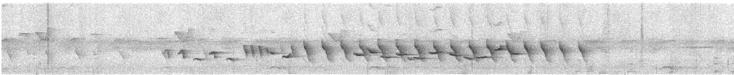 Белобрюхая тимелия-говорушка - ML616283512
