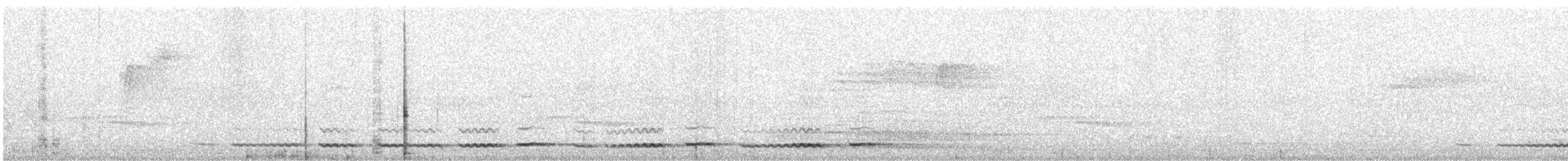 Torquéole des bois (tonkinensis) - ML616283590