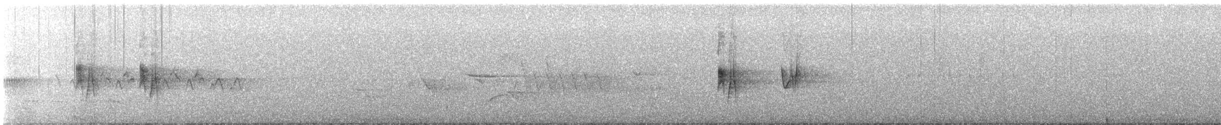 Піві-малюк сірий - ML616283612