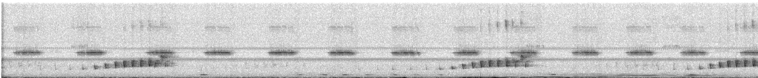 Buff-collared Nightjar - ML616284381