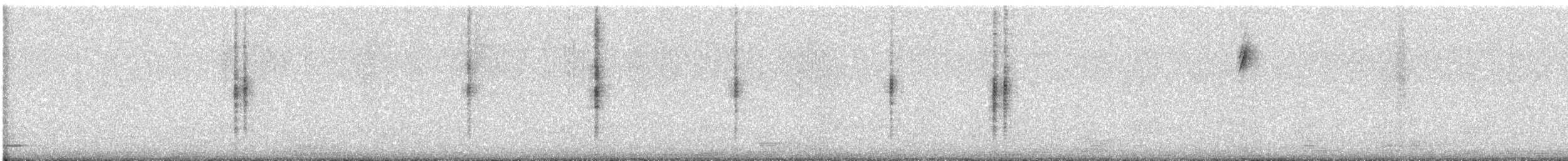 Geniş Gagalı Kolibri - ML616284553