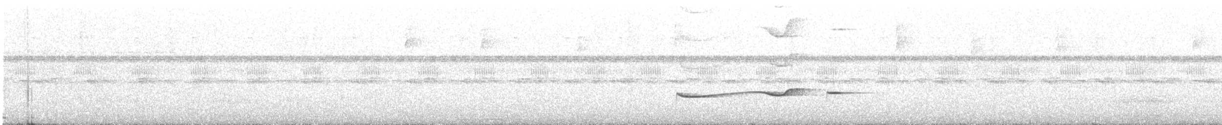 キタツグミマイコドリ - ML616285002