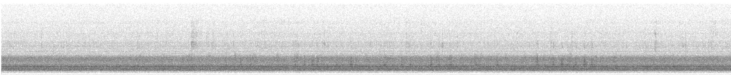 Mallard/American Black Duck - ML616292722