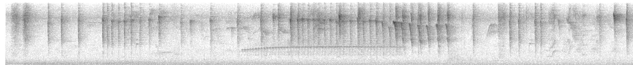 Schwarzbrust-Mangokolibri - ML616292812