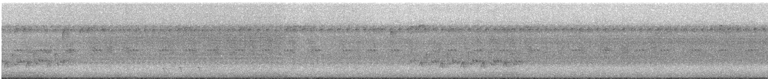 Поплітник каролінський - ML616293431