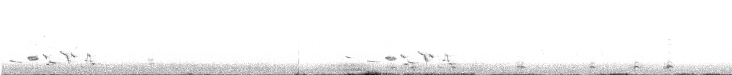 Шпаркос західний - ML616295162