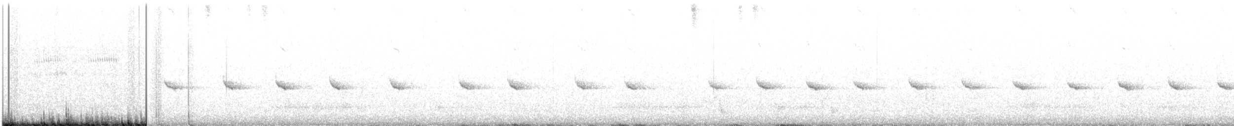 Королаз плямистобокий - ML616298887