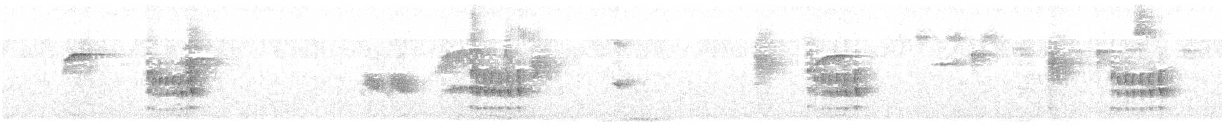 Темноголовая иглохвостка - ML616300354
