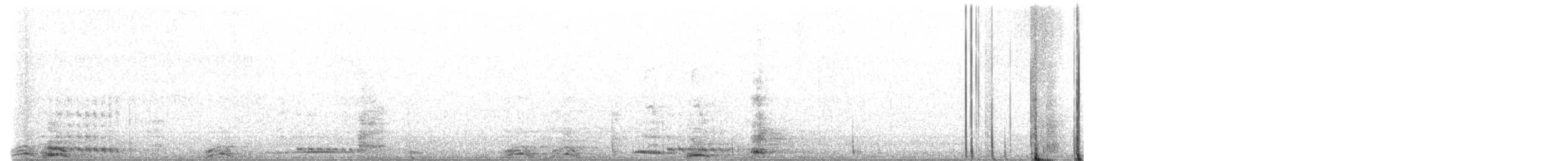 Sandhill Crane - ML616301100