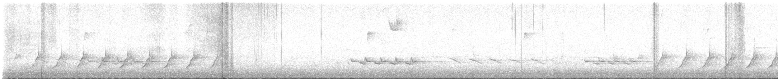 雑種 エボシガラ ｘ クロエボシガラ - ML616301312