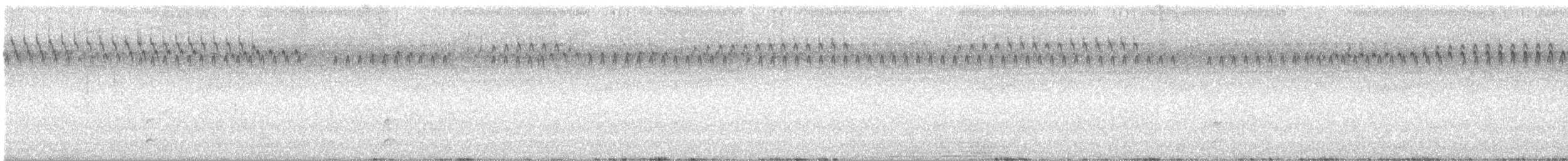 Spotless Crake - ML616301978