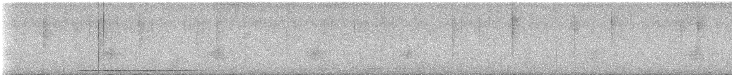 Tinamou noctivague (zabele) - ML616304271