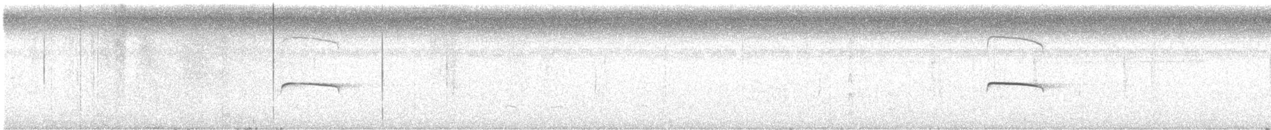 Тиранчик-тонкодзьоб північний - ML616307887